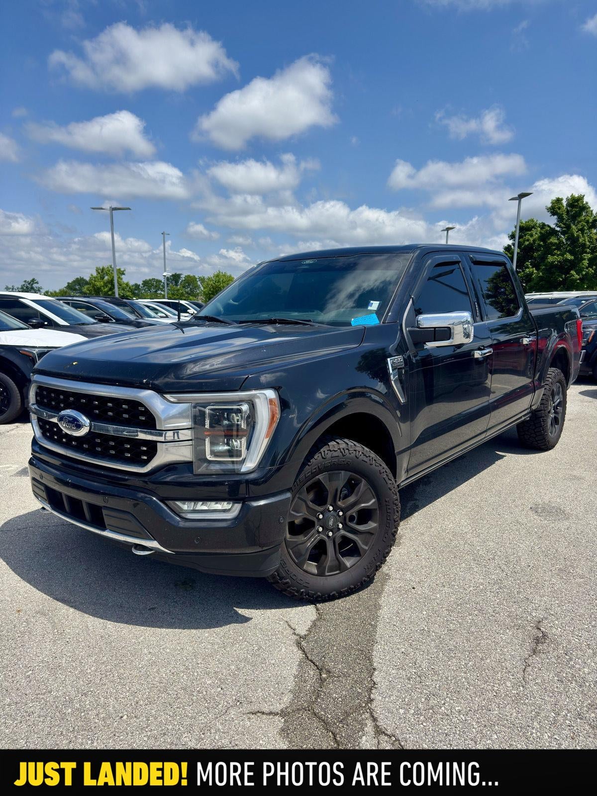 2023 Ford F-150 Platinum