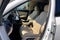 2019 Acura RDX w/Technology Pkg